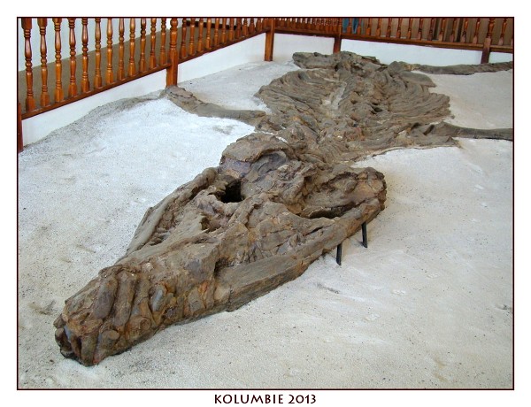 KOLUMBIE