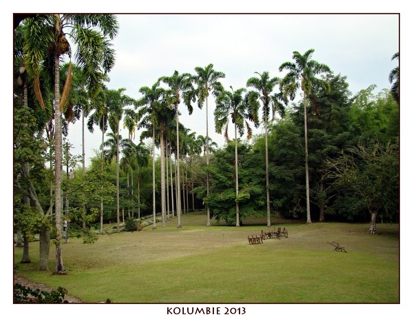 KOLUMBIE