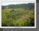 Buenavista