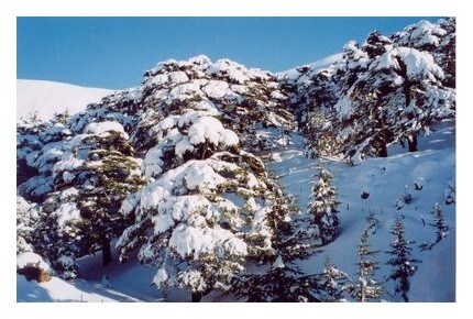 LIBANON