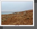 Apollonia