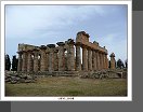 Cyrene