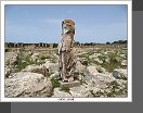 Cyrene