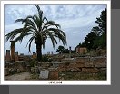 Cyrene