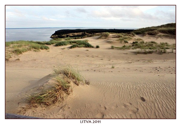 LITVA