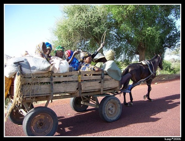 MALI