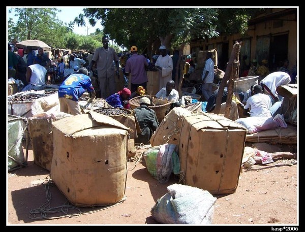 MALI