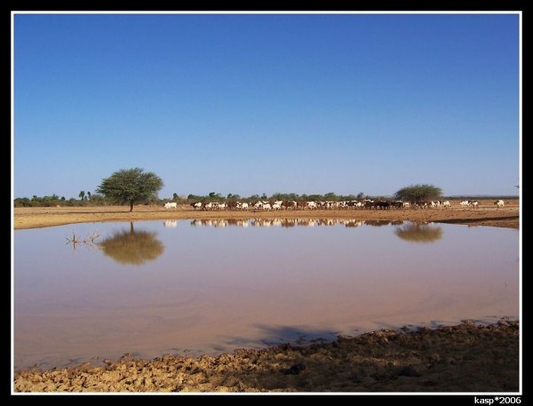 MALI
