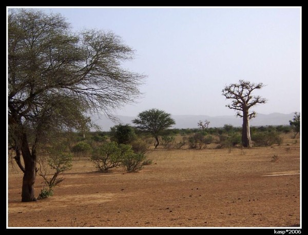 MALI