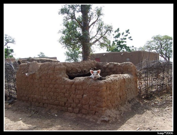 MALI
