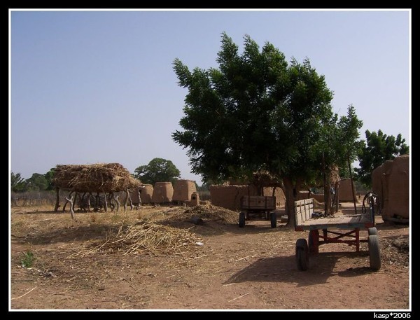 MALI