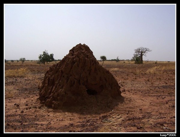 MALI