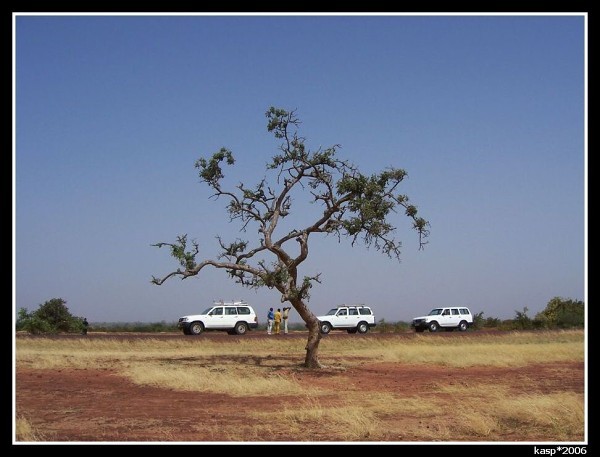 MALI