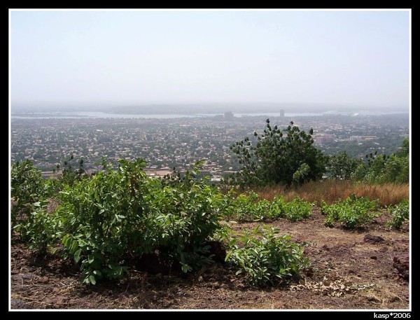 MALI