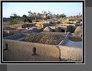 Sangha