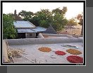 Sangha