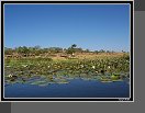 Cestou do Mopti