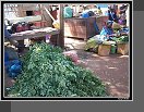 Mopti