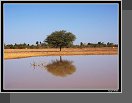 Cesta do Timbuktu