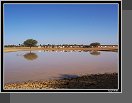 Cesta do Timbuktu