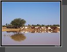 Cesta do Timbuktu