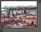 Ségou