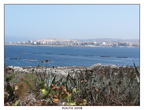 MALTA
