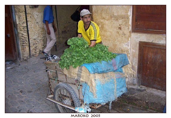 MAROKO