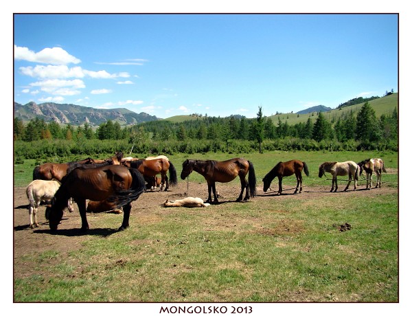 MONGOLSKO
