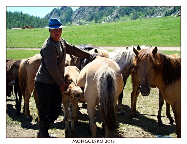 MONGOLSKO
