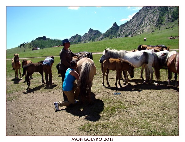 MONGOLSKO