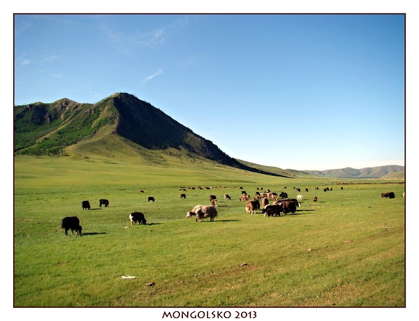 MONGOLSKO