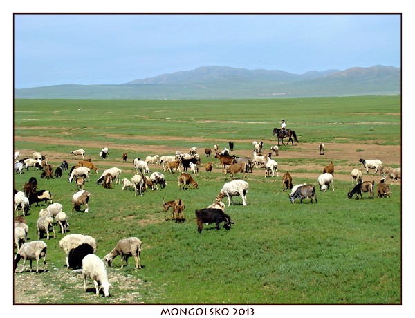 MONGOLSKO