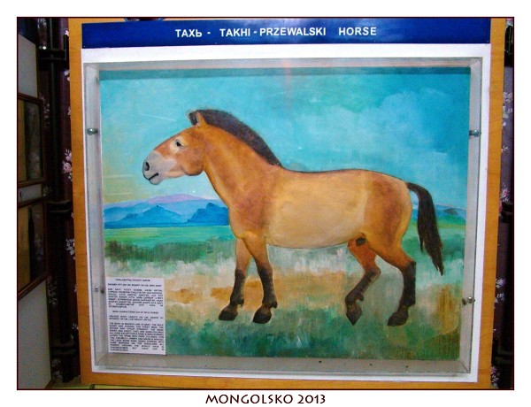 MONGOLSKO