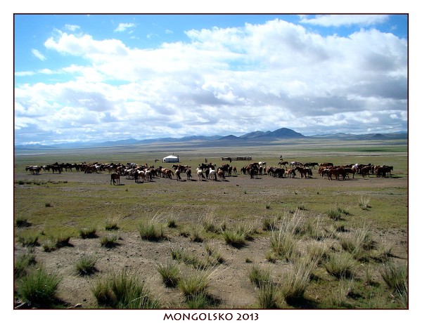 MONGOLSKO