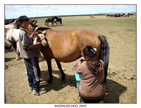 MONGOLSKO