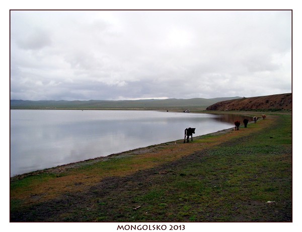 MONGOLSKO