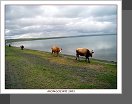 Jezero Ugii