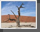 Sossusvlei