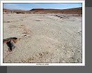 Sossusvlei