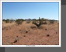 Damaraland