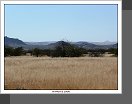 Damaraland
