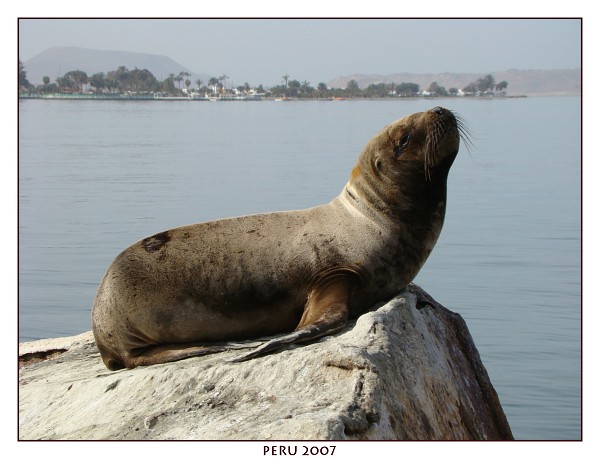 PERU