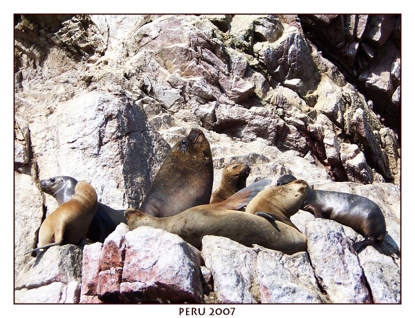 PERU