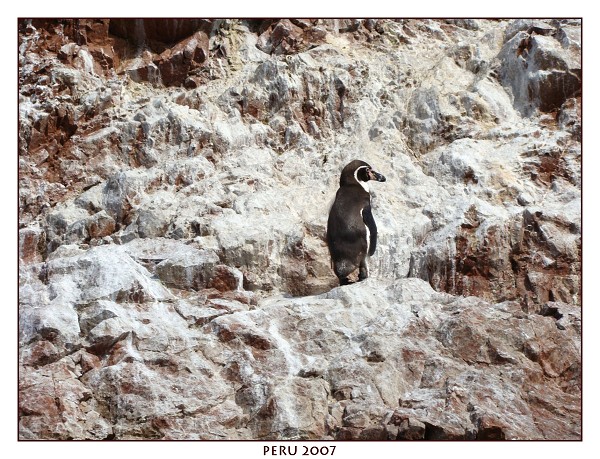 PERU