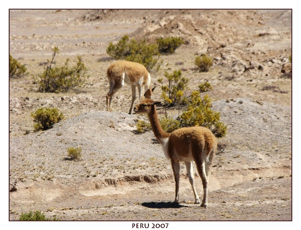PERU