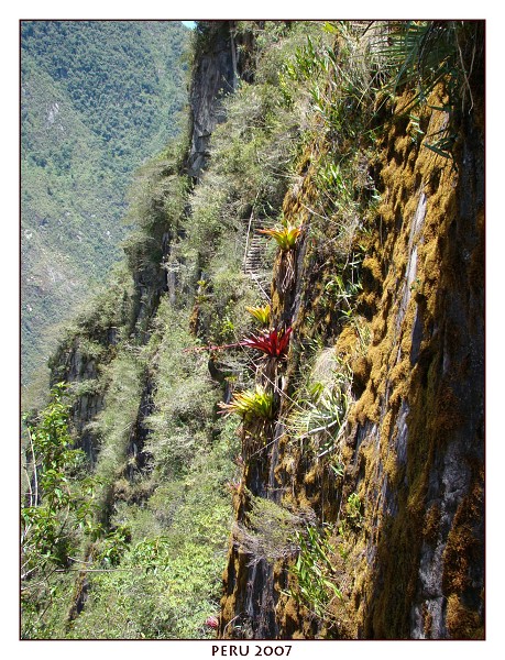 PERU