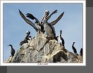 Islas Ballestas