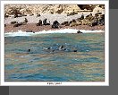 Islas Ballestas