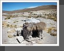 Altiplano